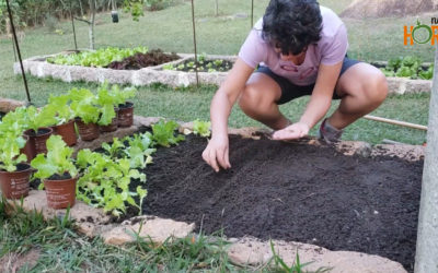 Em busca da diversidade